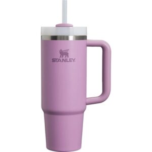 Vaso Stanley H20